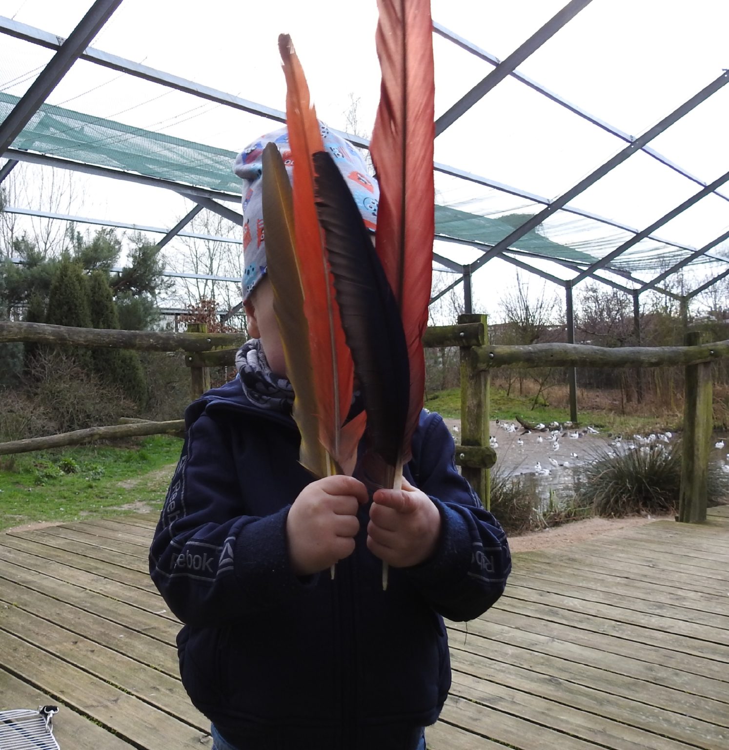 World Parrot Day – Silent Forest