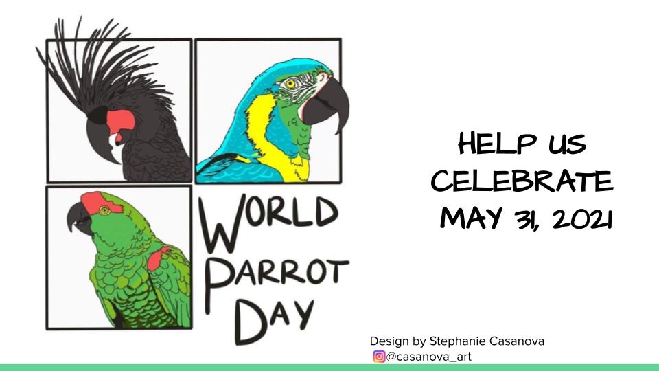 World Parrot Day – Silent Forest
