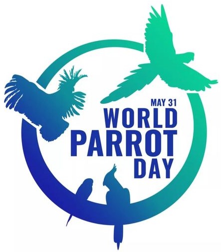 ParrotTAG.org – Silent Forest